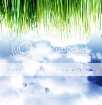 grass and sky Pictures, Images and Photos